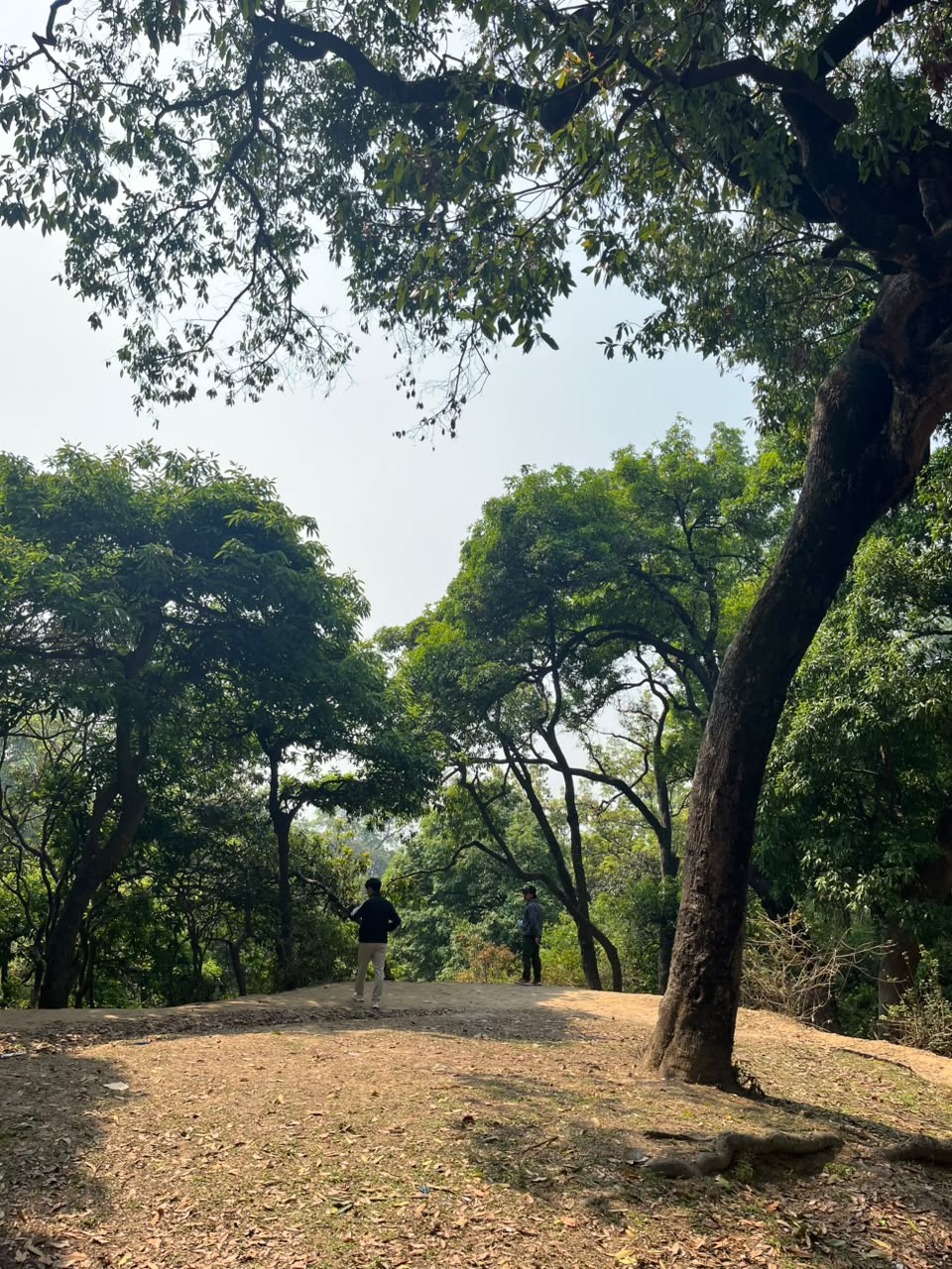 कार्यक्रम झलक १