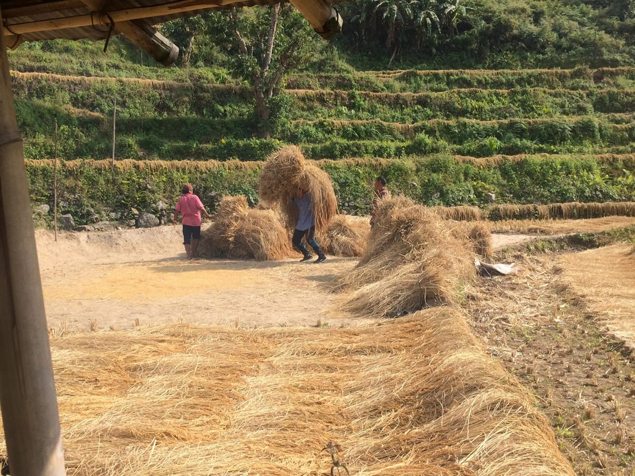 सामुदायिक कार्य २