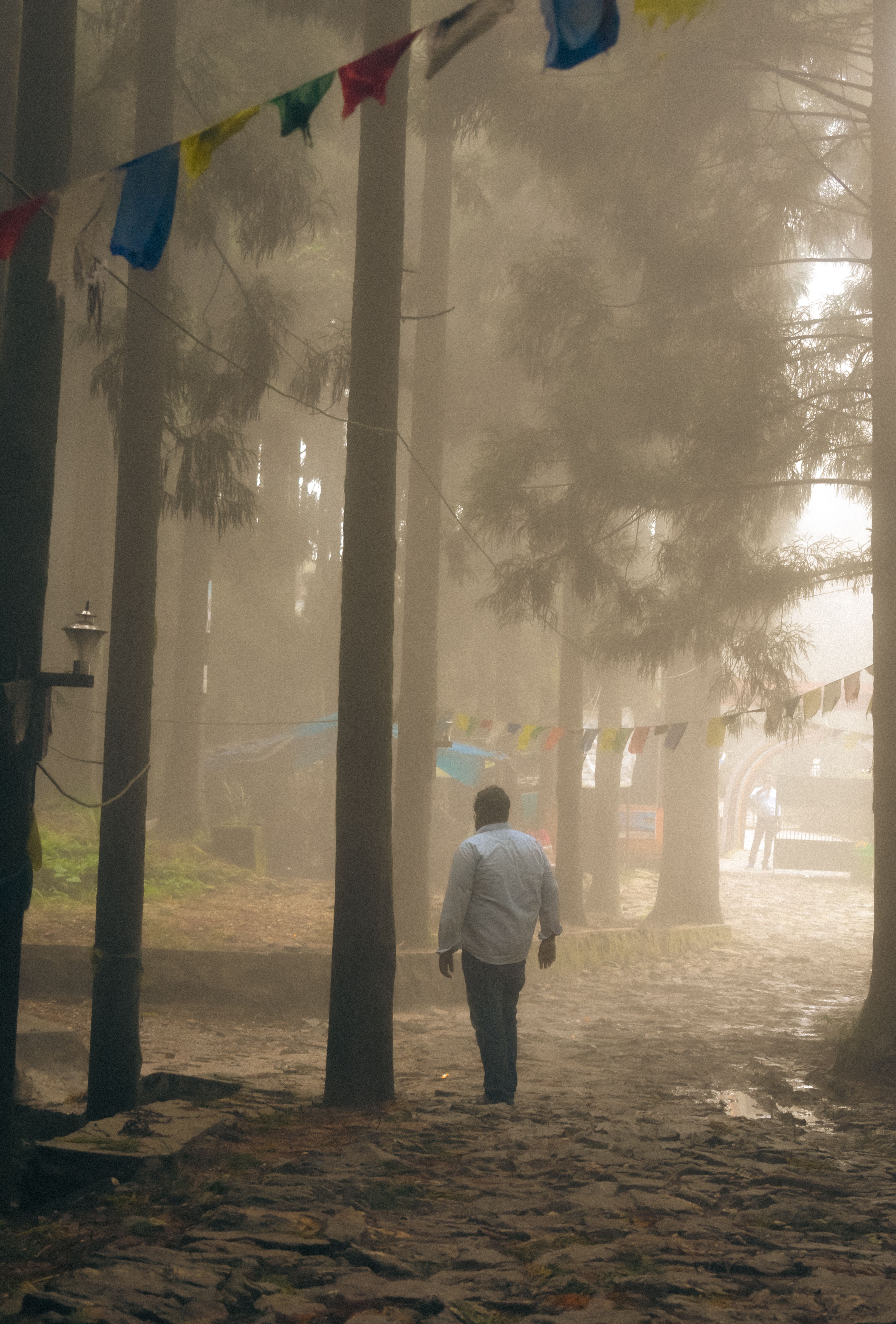 सामाजिक कार्य झलक १
