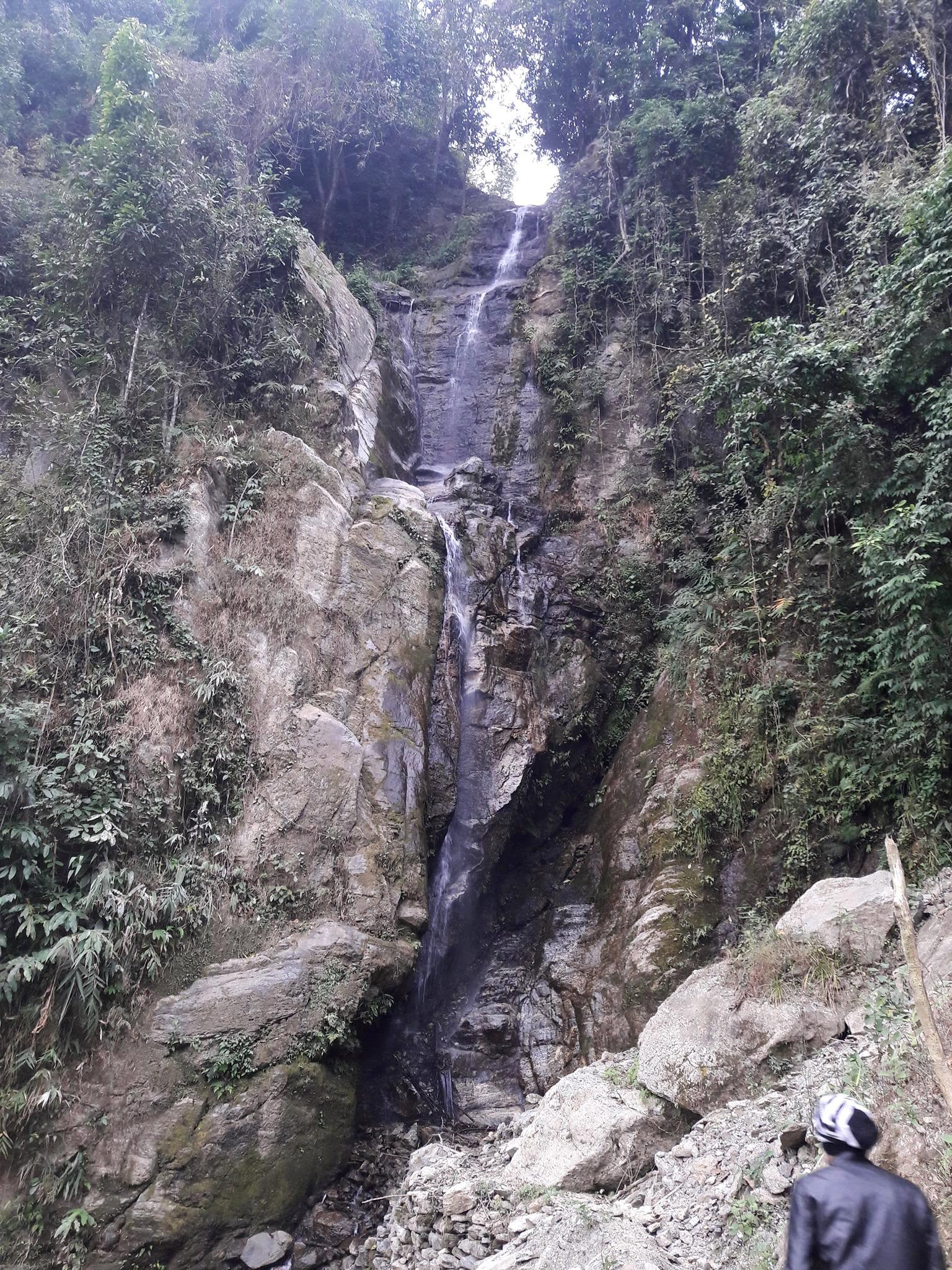 वृक्षारोपण वा सरसफाई ५